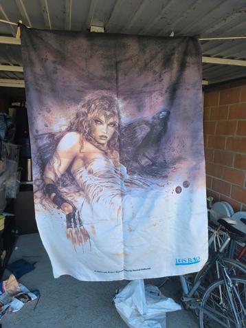 Vlag van Luis royo, Enlèvement, Utilisé