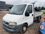 2003 Fiat Ducato Bedrijfswagen, Gebruikt, Overige brandstoffen, Bedrijf, Handgeschakeld