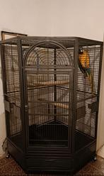 Grote papegaaikooi, Ophalen, Zo goed als nieuw, Vogelkooi