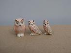 Diverse uiltjes (5), Ophalen of Verzenden, Nieuw, Dier
