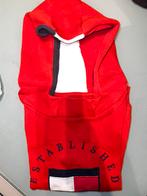 Trui Tommy Hilfiger, Ophalen, Zo goed als nieuw, Jongen