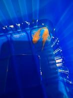 L 144, Dieren en Toebehoren, Vissen | Aquariumvissen