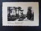 Kluisberg Mont-de-Enclus Wandeling in 't bosch, Verzamelen, Postkaarten | België, Ophalen of Verzenden, 1920 tot 1940, Ongelopen