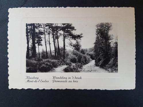 Kluisberg Mont-de-Enclus Wandeling in 't bosch, Verzamelen, Postkaarten | België, Ongelopen, Oost-Vlaanderen, 1920 tot 1940, Ophalen of Verzenden