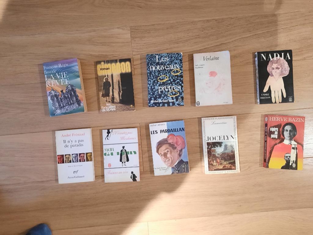 10 livres en français, Livres, Partis & Groupements, Utilisé, Différents sujets, Enlèvement