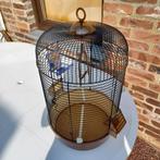 Vogelkooi met toebehoren, Ophalen, Gebruikt, Metaal, Vogelkooi