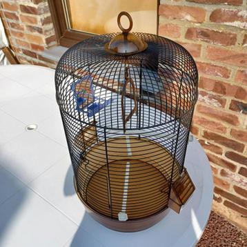 Vogelkooi met toebehoren beschikbaar voor biedingen