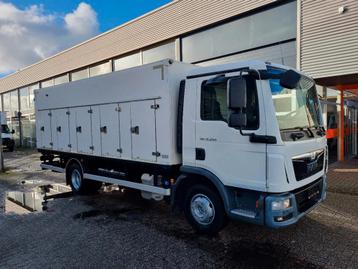 MAN TGL 12.250 EURO 6/ IJswagen/ Coldcar/ Eiswagen/ Tiefkuhl, Autos, Camions, 250 ch, Achat, Euro 6, Entreprise