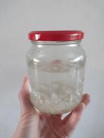 waterkefir, Diversen, Ophalen