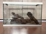 Open aquarium, Dieren en Toebehoren, Ophalen