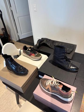 Merkschoenen beschikbaar voor biedingen