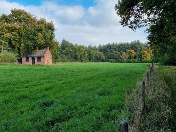 1ha weiland te huur, Dieren en Toebehoren, Stalling en Weidegang