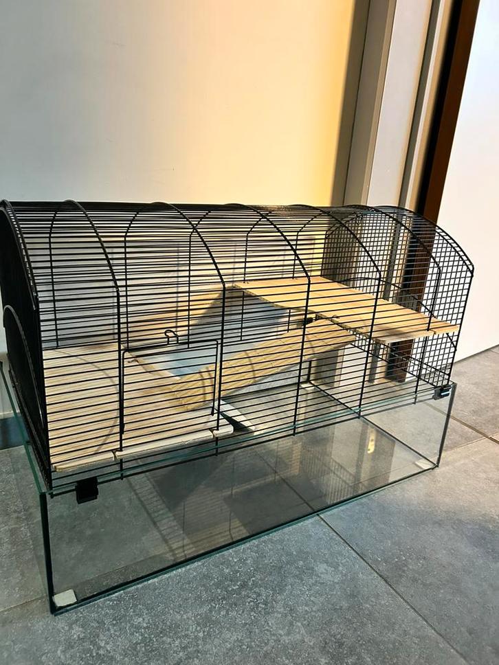 Grote kooi (glas) + kleine kooi + toebehoren, Animaux & Accessoires, Rongeurs & Lapins | Cages & Clapiers, Cage, Enlèvement