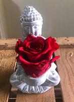 Rose Éternelle rouge   Idée Cadeaux, Enlèvement, Comme neuf