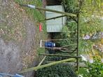 Schommel voor twee kinderen, Kinderen en Baby's, Speelgoed | Buiten | Speeltoestellen, Ophalen, Gebruikt, Schommel