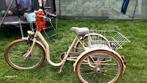 Elektrische tribike driewieler, Fietsen en Brommers, Ophalen, Zo goed als nieuw, Tri-bike