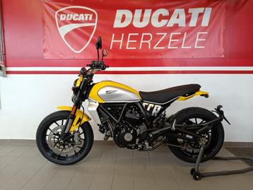 DUCATI SCRAMBLER ICON beschikbaar voor biedingen