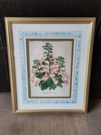Antieke botanische print Horto Van Houtte ingekaderd, Ophalen