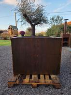 Plantenbak in cortenstaal, Tuin en Terras, Bloembakken en Plantenbakken, Ophalen