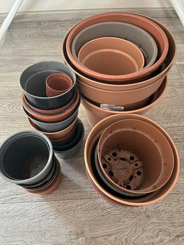 Kweekpotten / binnenpotten beschikbaar voor biedingen