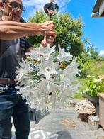 Sputnik kroonluchter Venini bloemen 1970, Ophalen, Gebruikt, Glas