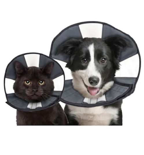 ZenPet Zen Collar recovery kraag voor kleine hond of kat, Animaux & Accessoires, Accessoires pour chiens, Neuf, Enlèvement ou Envoi