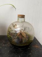 Terrarium de plantes verte, Ophalen, Zo goed als nieuw, Binnen