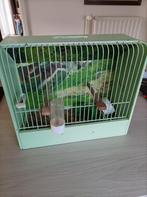 Petite cage d'élevage belle et amusante, Animaux & Accessoires, Oiseaux | Cages & Volières, Comme neuf, Enlèvement, Cage à oiseaux