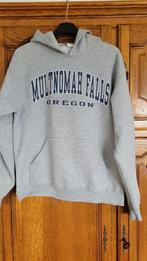 sweat à capuche taille M, Vêtements | Femmes, Enlèvement ou Envoi, Porté, Taille 38/40 (M), Gris