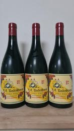3 flessen Badenhorst Tinta Barocca 2021, Ophalen of Verzenden
