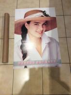 Brooke Shields ,poster, Collections, Posters & Affiches, Comme neuf, Enlèvement ou Envoi
