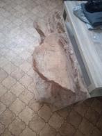 Fond rocheux terrarium, Animaux & Accessoires, Enlèvement, Comme neuf, Branche, Plante, Roche ou Pierre