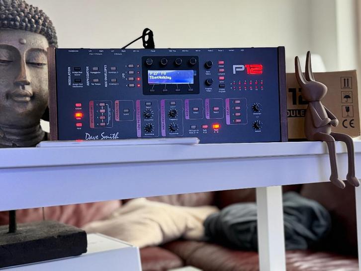 Dave Smith Prophet P12 Desktop, Musique & Instruments, Synthétiseurs, Comme neuf, Autres nombres, Autres marques, Avec connexion MIDI