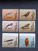 Timbres du Togo - Oiseaux, Enlèvement ou Envoi, Autres pays, Affranchi