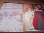 Anime wall scrolls, Ophalen, Zo goed als nieuw, Fantasy