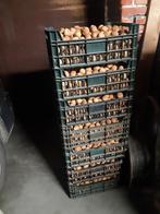 Walnoten bio natuurlijk gedroogd, Tuin en Terras, Ophalen, Nieuw