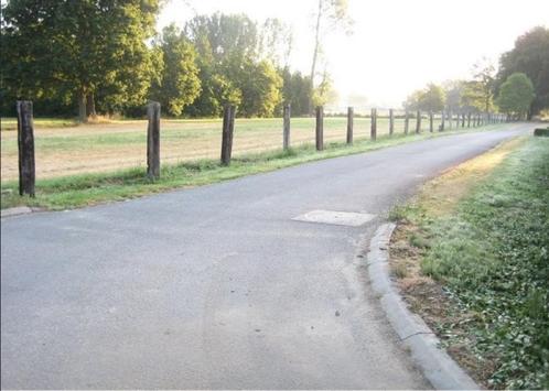 Rustig perceel grond Tessenderlo, Immo, Gronden en Bouwgronden, 1500 m² of meer, Verkoop zonder makelaar