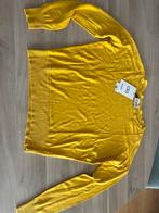 CKS okergele trui maat M, Kleding | Dames, Ophalen of Verzenden, Gedragen, Maat 38/40 (M), Geel