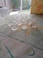 shotglazen, Ophalen of Verzenden, Zo goed als nieuw, Borrel- of Shotglas