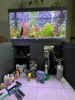 aquarium, Dieren en Toebehoren, Ophalen, Zo goed als nieuw, Gevuld zoetwateraquarium