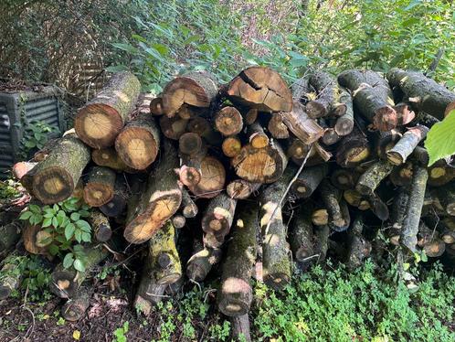 Bois de chauffage non sec – 4,5 stères frêne, Tuin en Terras, Brandhout, Blokken, Essenhout, Ophalen