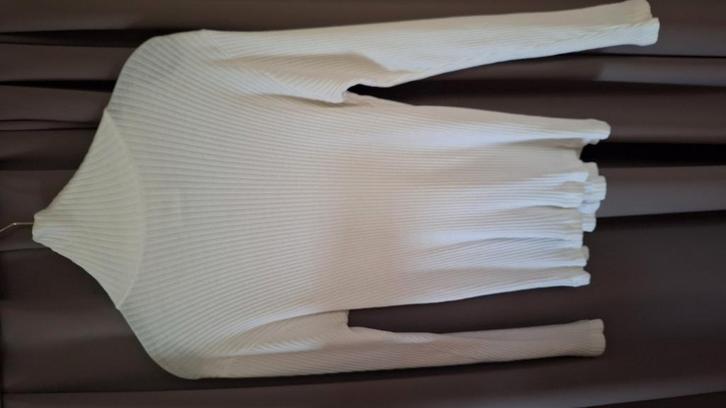 Dames trui met rolkraag wit maat 42, Kleding | Dames, Truien en Vesten, Zo goed als nieuw, Maat 42/44 (L), Wit, Ophalen of Verzenden