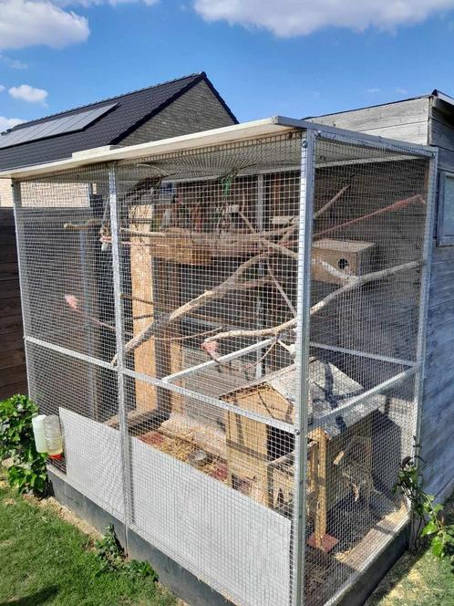 Voliere met vogels en accessoires, Dieren en Toebehoren, Vogels | Hokken en Kooien, Zo goed als nieuw, Volière, Aluminium, Ophalen
