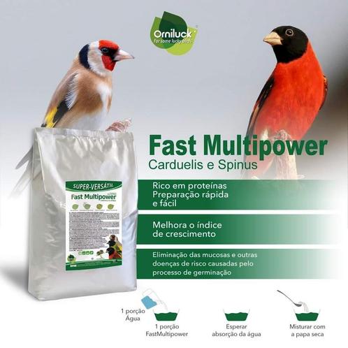 Fast Multipower Carduelis & Spinus (+Libido Booster) 4kg, Animaux & Accessoires, Nourriture pour Animaux, Enlèvement ou Envoi