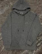 Pull-christian Dior, Kleding | Heren, Ophalen of Verzenden, Nieuw, Maat 46 (S) of kleiner, Grijs