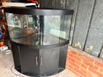 Hoek aquarium 350l met kast, Enlèvement, Utilisé, Éclairage ou Chauffage