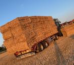Grote pakken tarwestro, Zakelijke goederen, Landbouw | Veevoer, Ophalen of Verzenden