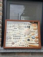 Vintage display kast met schelpen, Ophalen