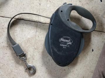 Flexi Giant XL 8m - Tot 75 kg ! beschikbaar voor biedingen