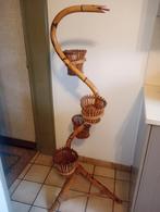 Rotan slang, Enlèvement